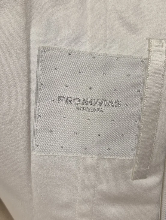 Pronovias Alcanar Lace & Tulle A-Line Wedding Dress - US 12 - Bustle Ready - Picture 3 of 16